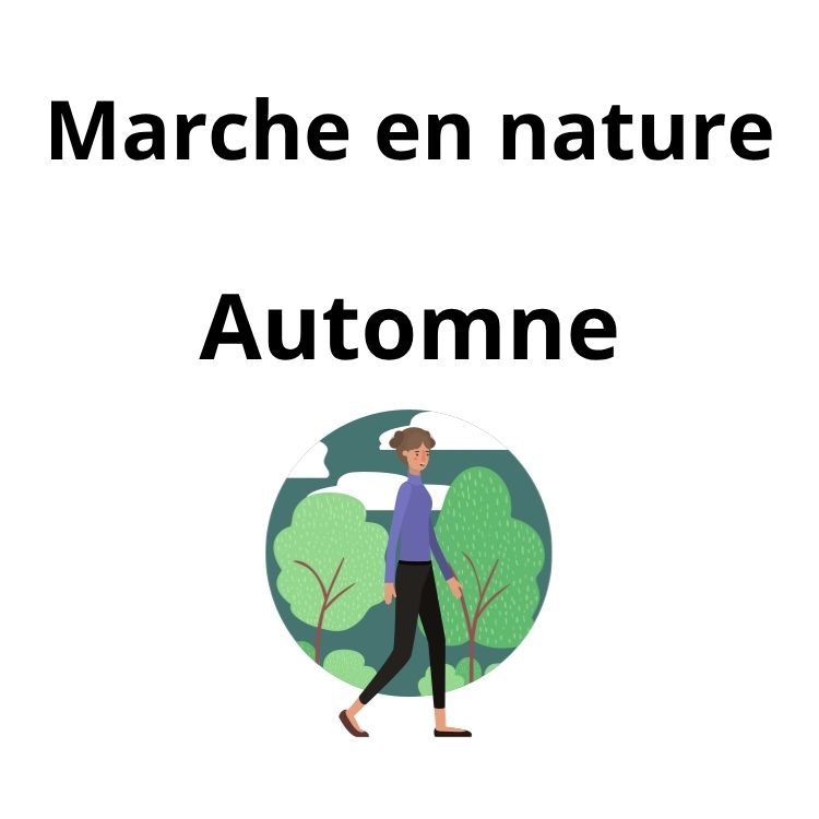 Promenades automnales sur la bande du canal 🍂